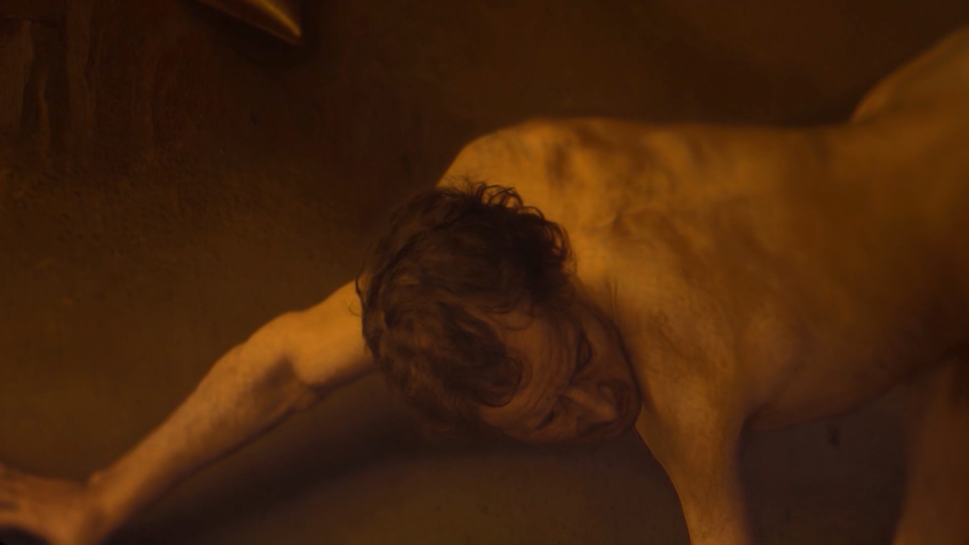 Lech Majewski - Work